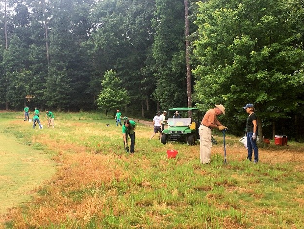 Planting milkweed on the course